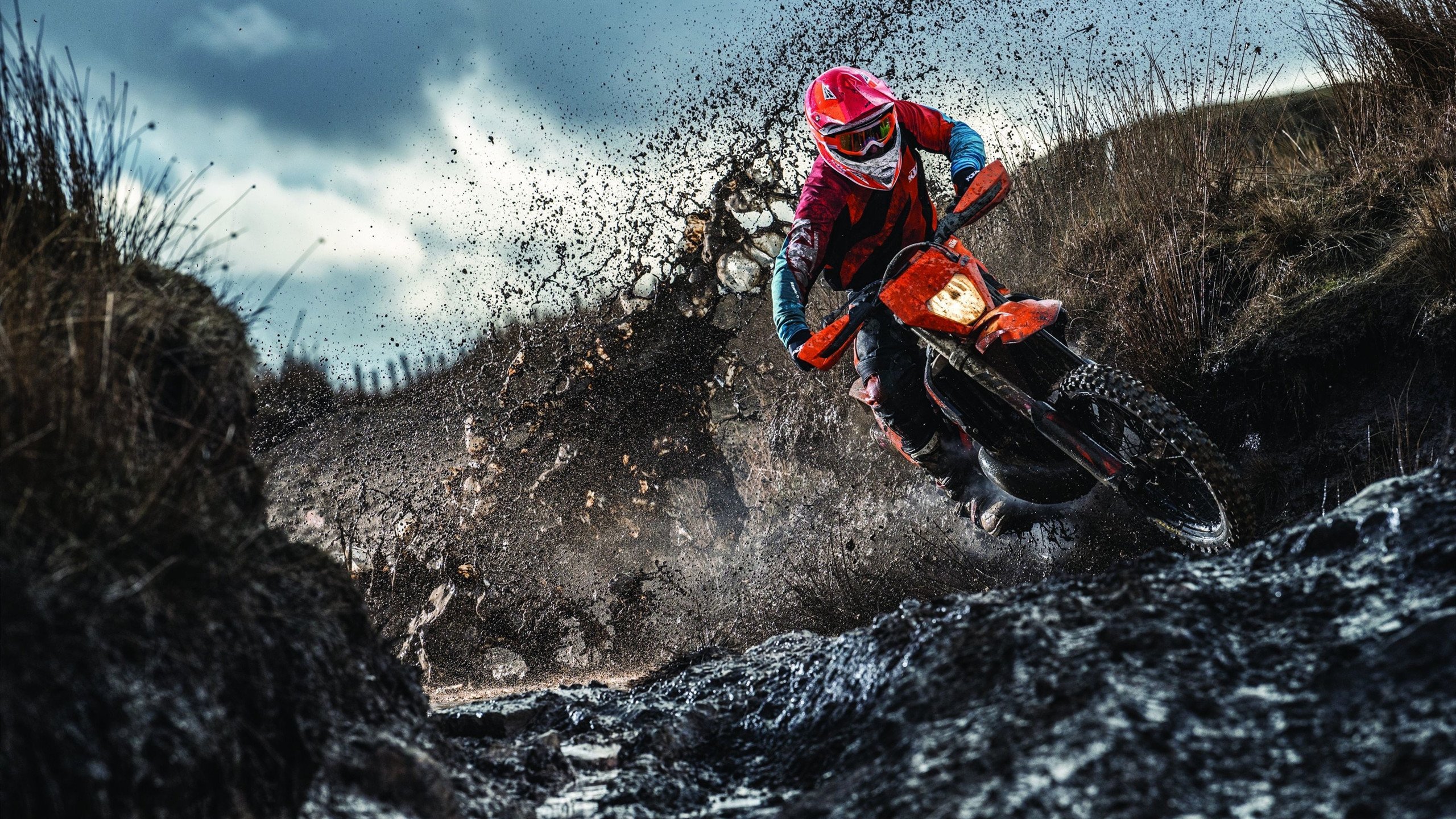 杜兰特回归赛场，战术调整首场状态亮眼，公牛观众沸腾！